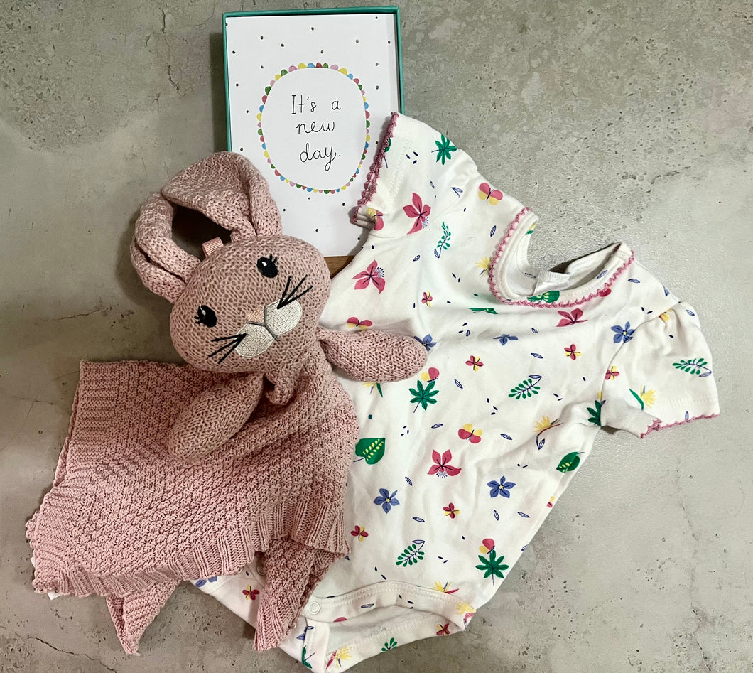 Eco, Love & Other Stuff - Autumn bodysuit 00 🍂  3 to 6 months, up to 8kgs - Baby Combo : bodysuit and bunny for $35, bodysuit only for $25, Pink bunny for $15