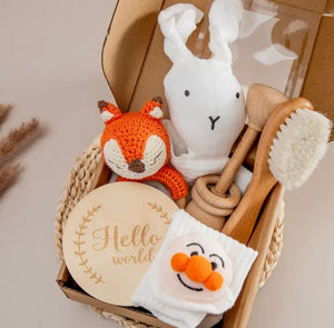 Baby / Newborn Gift Set