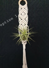 Load image into Gallery viewer, Eco, Love &amp; Other Stuff- Australian made, handmade, macrame plant hanger. Macrame airplant hanger. Perfect gift for Crazy plant lovers. Made with timber ring -  $40