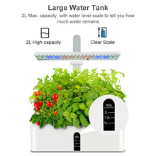 Load image into Gallery viewer, Eco, Love &amp; Other Stuff - indoor herb garden - hydroponic growing and soil cultivation