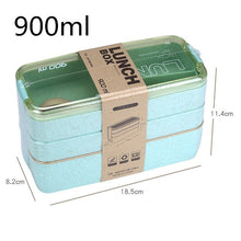 Load image into Gallery viewer, Eco, Love &amp; Other Stuff - 304 Stainless Steel Lunch Box - 900ml - vertical lunch box - $ 30 - Blue