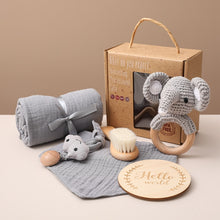 Load image into Gallery viewer, Eco, Love &amp; Other Stuff - Baby / Newborn Gift Box - Includes baby bath towel, milestone cards, teether, rattle, baby brush - $49 instead of $59.99 - elephant