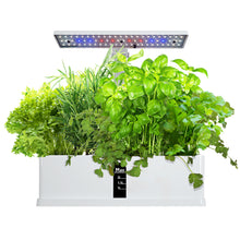 Load image into Gallery viewer, Eco, Love &amp; Other Stuff - indoor herb garden - hydroponic growing and soil cultivation