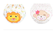 Load image into Gallery viewer, Cloth Baby Diaper