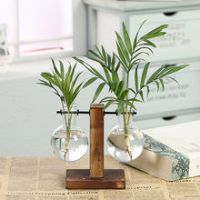 Load image into Gallery viewer, Eco, Love &amp; Other Stuff - Bamboo plant vase, hydroponic