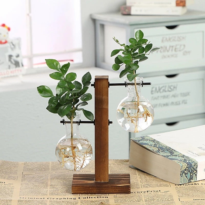 Eco, Love & Other Stuff - Bamboo plant vase, hydroponic